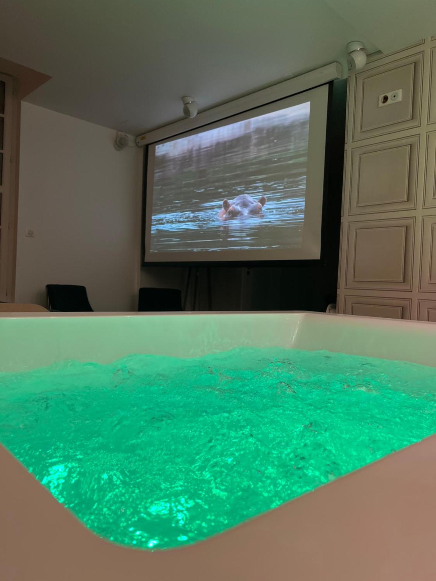 Appartement Avec Jacuzzi Sauna & Home Cinema - Nid D'Angers Eksteriør billede